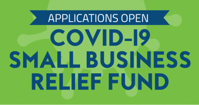 CARES Act SBA 7(a) Relief Program